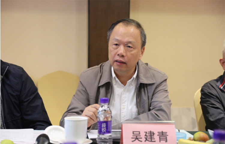 麻豆精品国产成人无码小说陶瓷集团大规格瓷质薄板