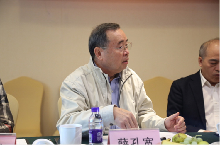 麻豆精品国产成人无码小说陶瓷集团大规格瓷质薄板